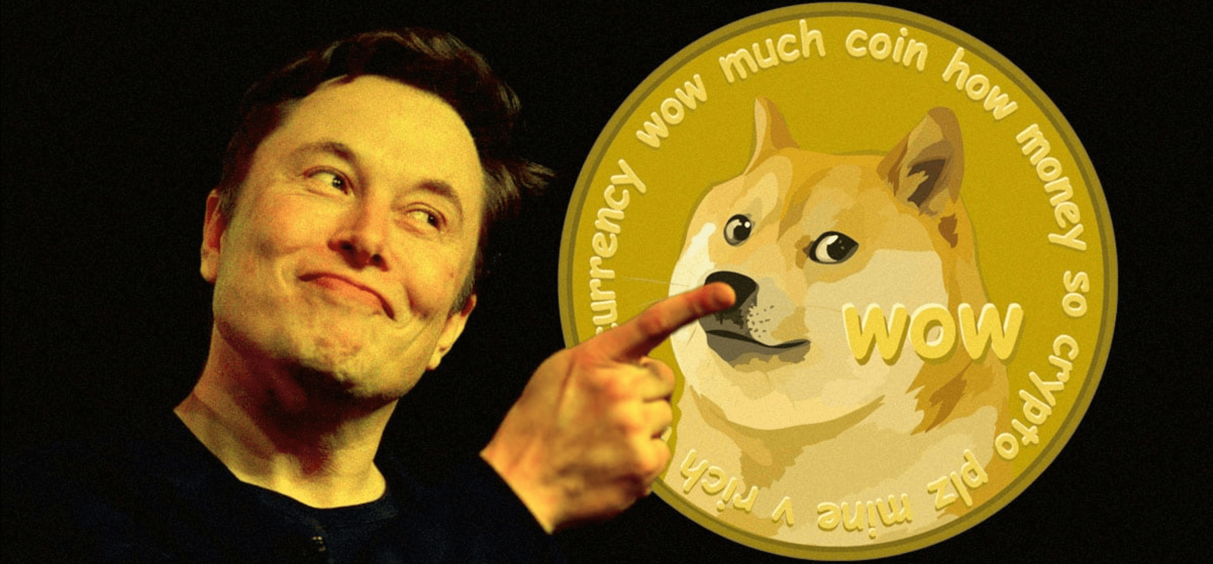 Dogecoin Price Pumps After Elon Musk Shares D.O.G.E. Plans at Massive Trump Rally